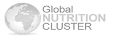 Global Nutrition Cluster